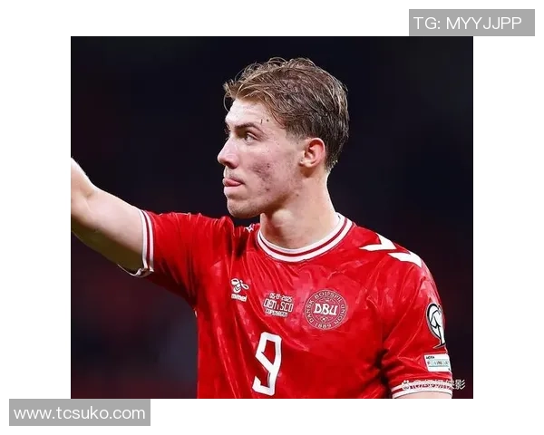 霍伊伦的传奇人生与成就探索：从平凡到卓越的奋斗之路