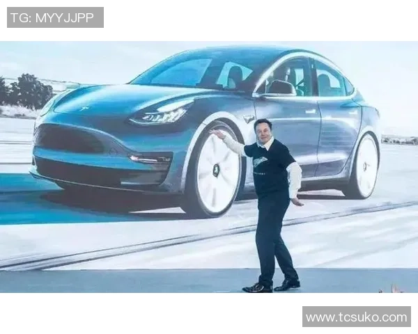 马力克的传奇人生与奋斗历程探秘揭示成功背后的故事与启示